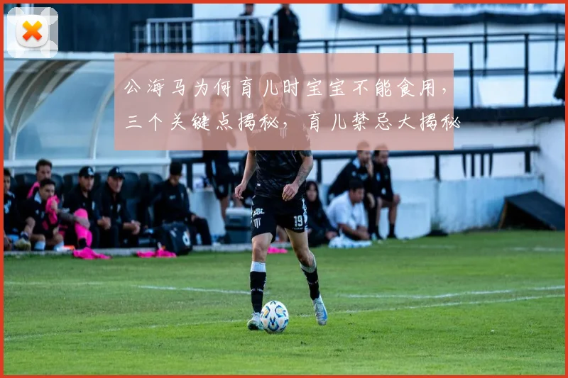 公海马为何育儿时宝宝不能食用，三个关键点揭秘，育儿禁忌大揭秘，育儿知识分享