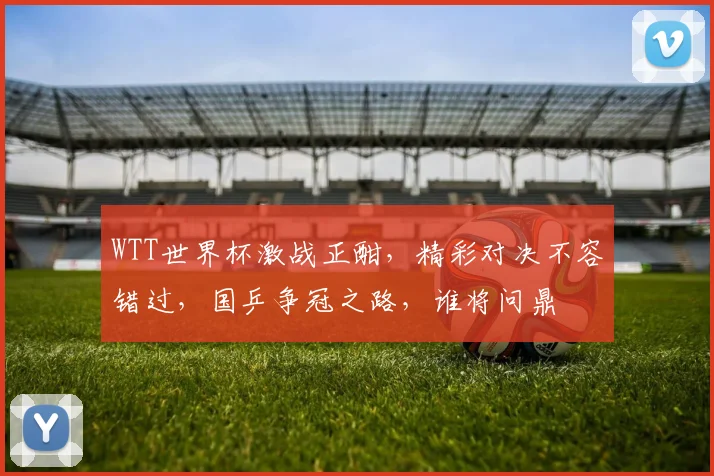 WTT世界杯激战正酣，精彩对决不容错过，国乒争冠之路，谁将问鼎