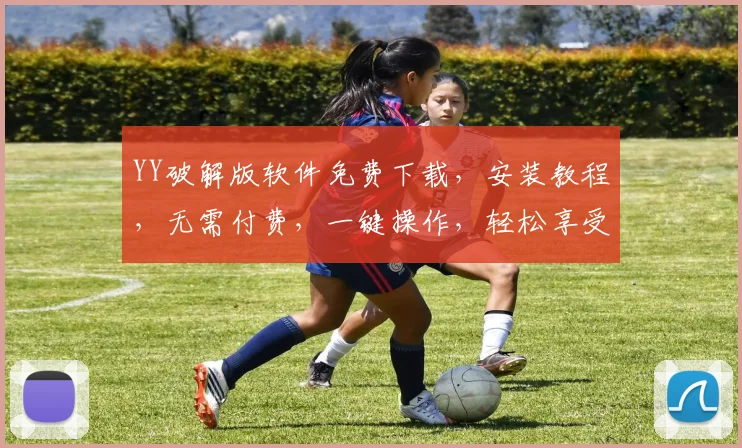 YY破解版软件免费下载，安装教程，无需付费，一键操作，轻松享受