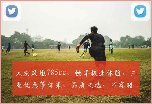 大发凤凰785cc，畅享极速体验，三重优惠等你来，品质之选，不容错过，惊喜连连